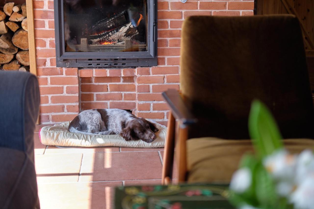 Chata Waliszów Nowy Waliszow Zewnętrze zdjęcie