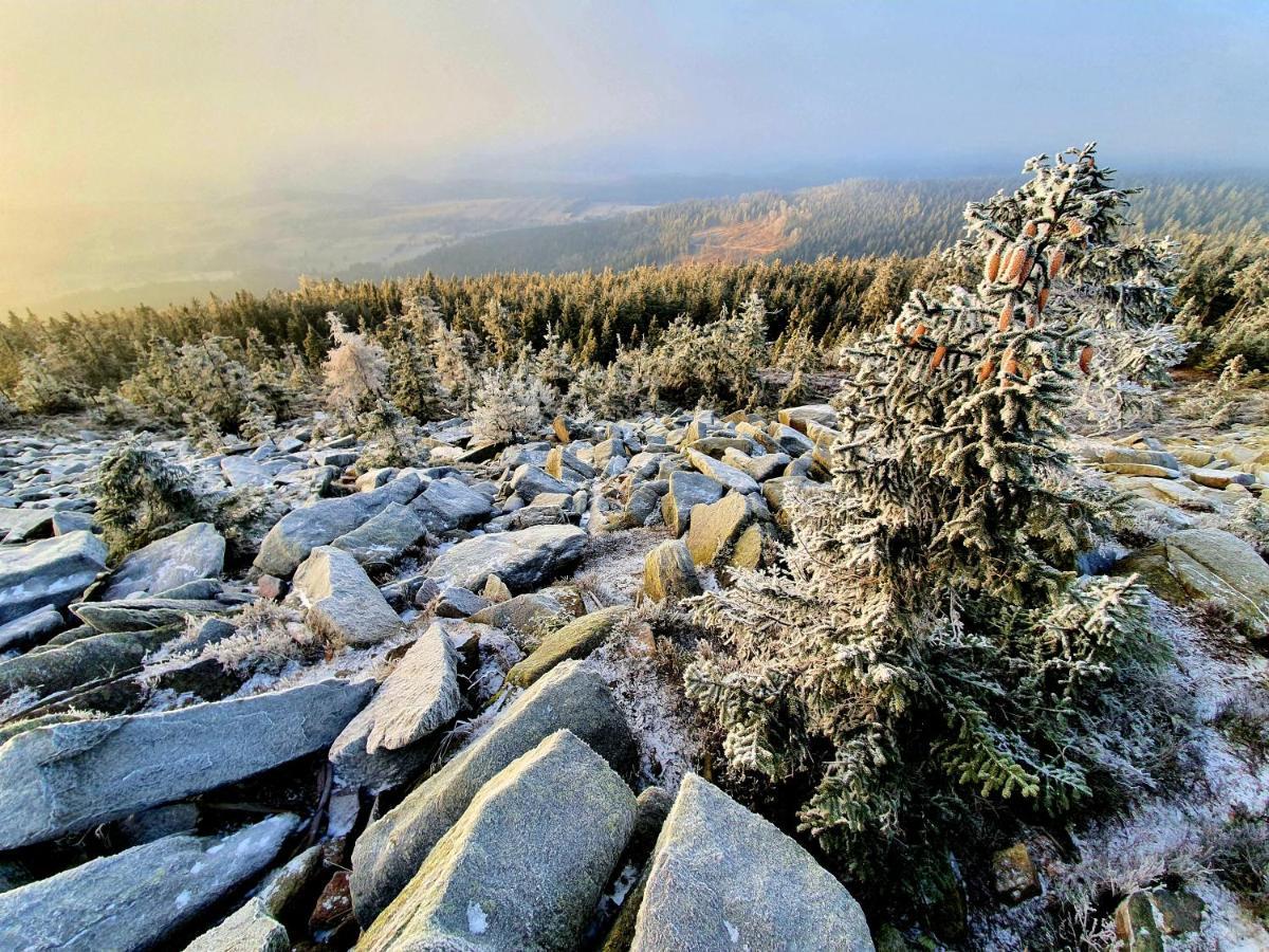 Chata Waliszów Nowy Waliszow Zewnętrze zdjęcie