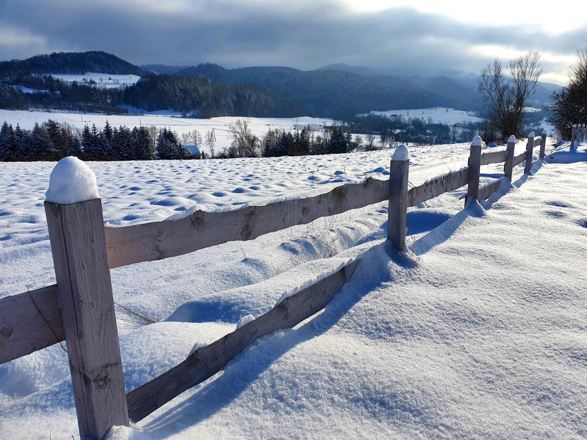Chata Waliszów Nowy Waliszow Zewnętrze zdjęcie