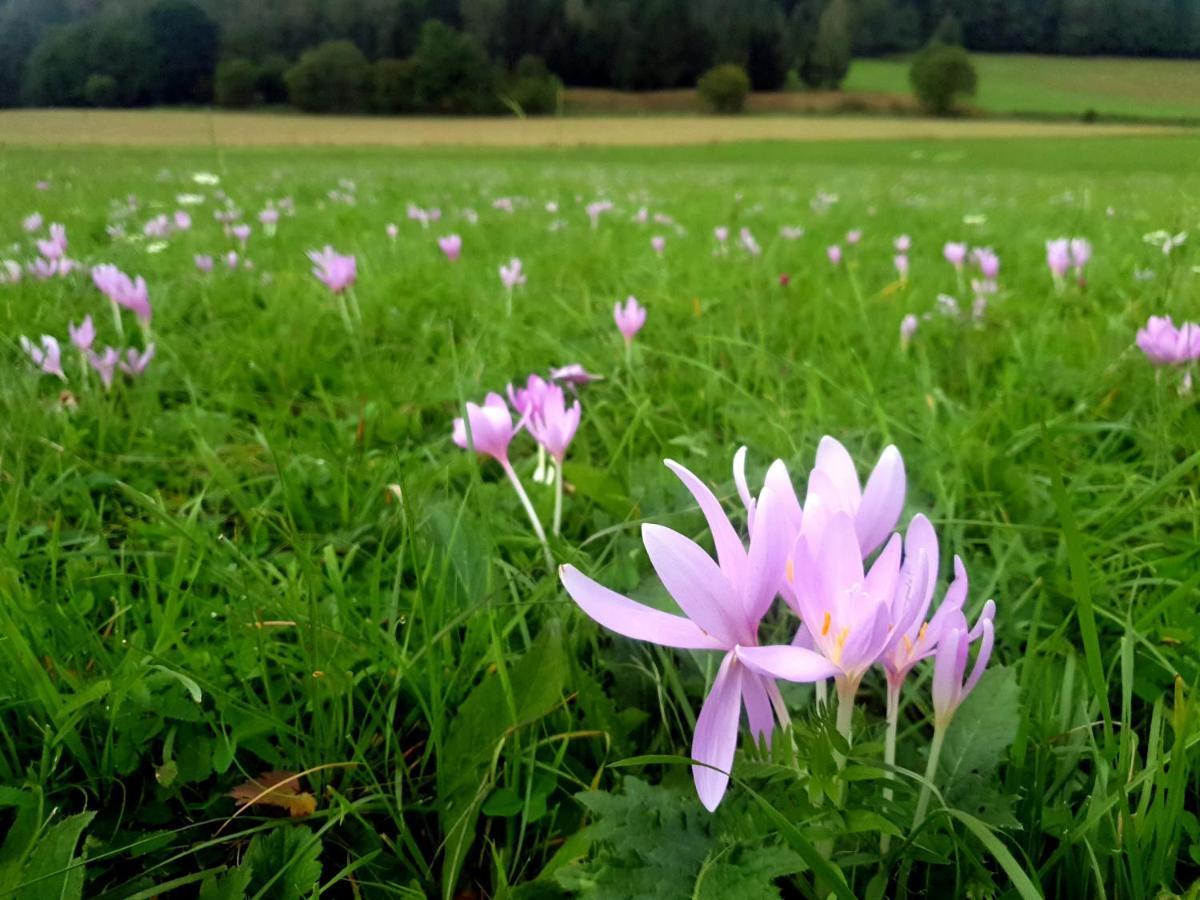 Chata Waliszów Nowy Waliszow Zewnętrze zdjęcie