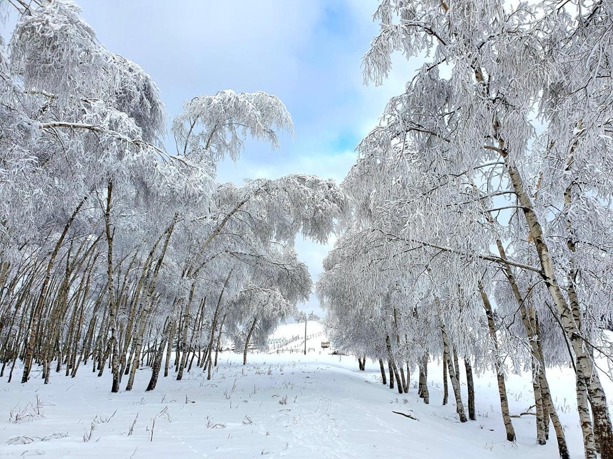 Chata Waliszów Nowy Waliszow Zewnętrze zdjęcie