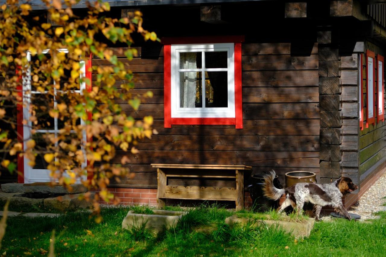 Chata Waliszów Nowy Waliszow Zewnętrze zdjęcie