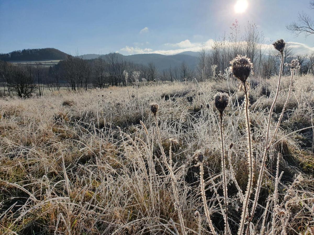 Chata Waliszów Nowy Waliszow Zewnętrze zdjęcie
