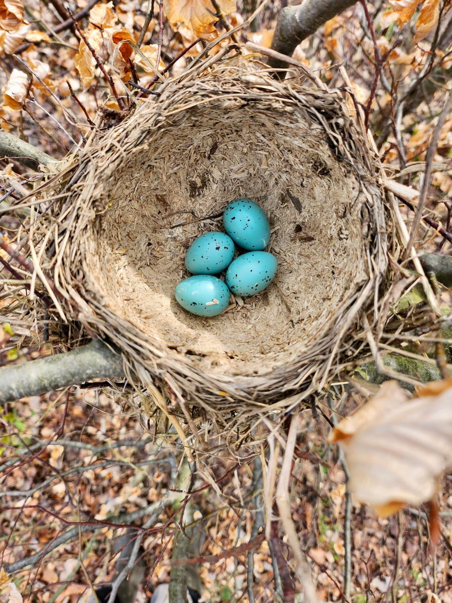 Chata Waliszów Nowy Waliszow Zewnętrze zdjęcie